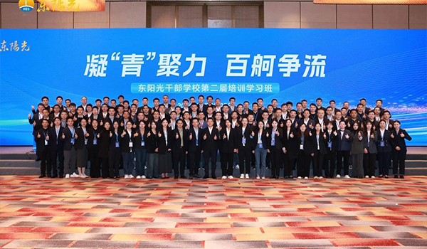 凝“青”聚力，百舸争流 | 半岛体育干部学校2024年第二届培训学习班圆满结束